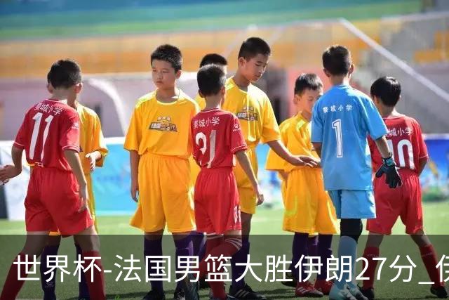 世界杯-法国男篮大胜伊朗27分 伊朗至今0胜4负